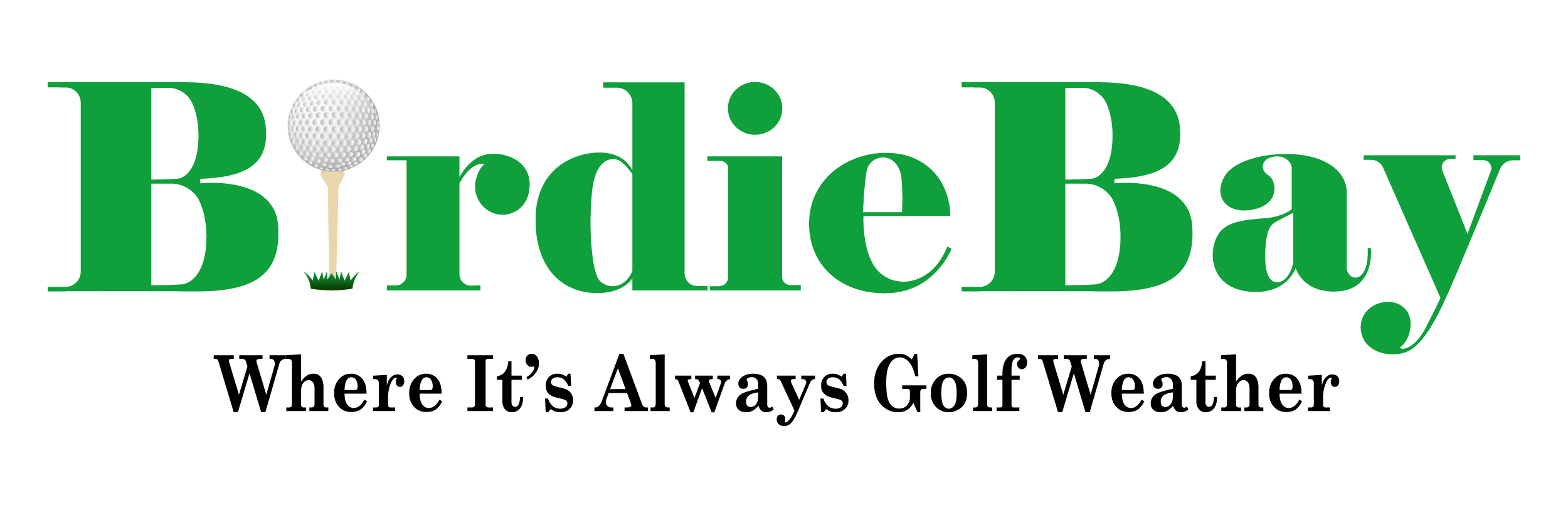 company image